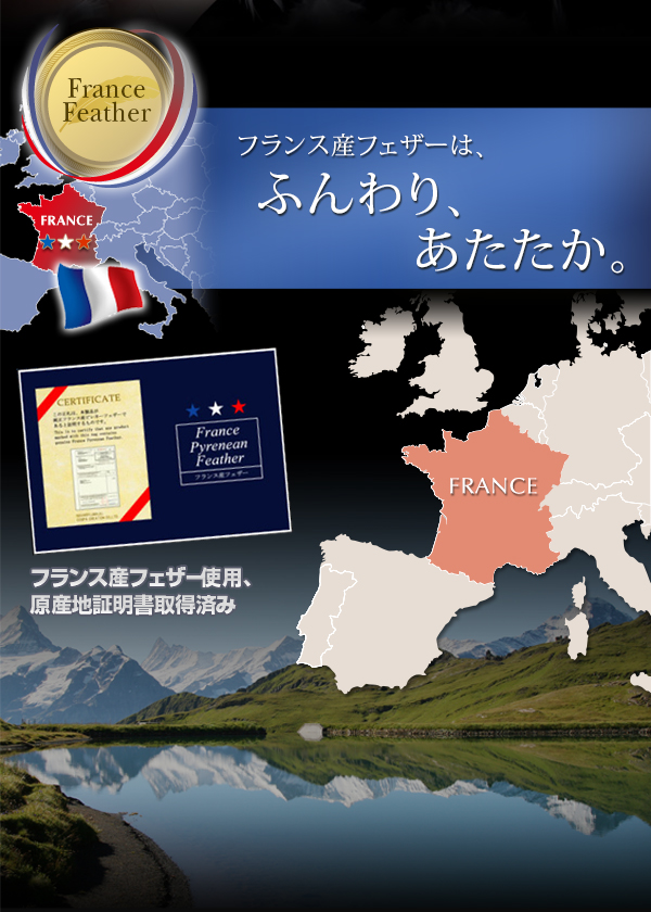 フランス産フェザー羽根布団8点セット ベッドタイプ Plume プルーム 商品説明画像5