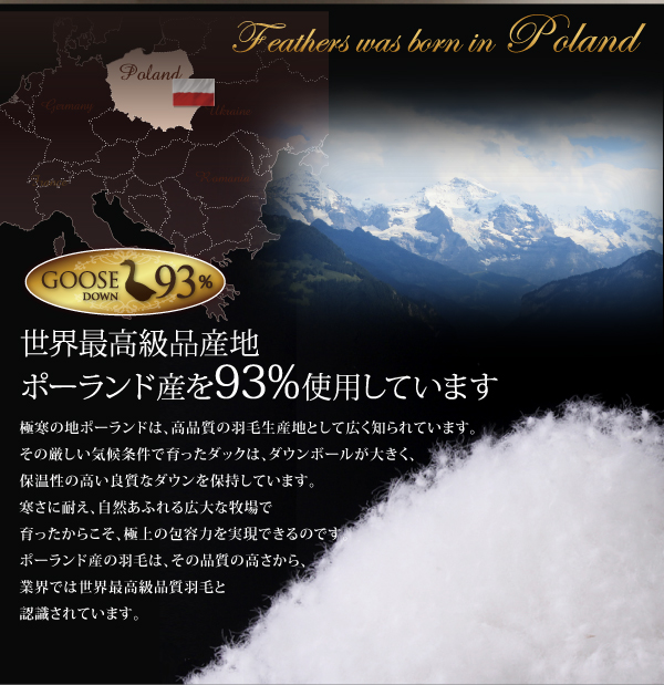 羽毛掛布団 Lathyrus ラティルス 商品説明画像5