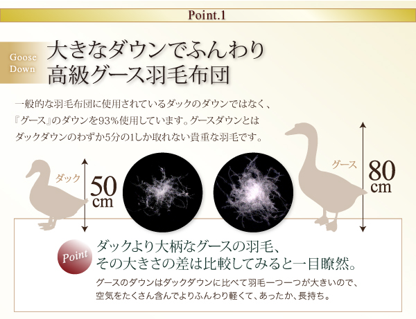 羽毛掛布団 Lathyrus ラティルス 商品説明画像6