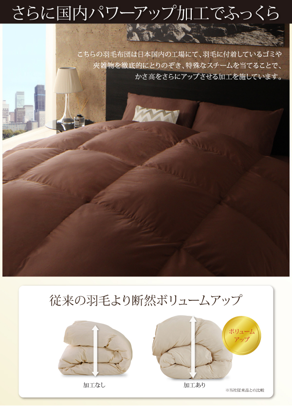 羽毛掛布団 Lathyrus ラティルス 商品説明画像8