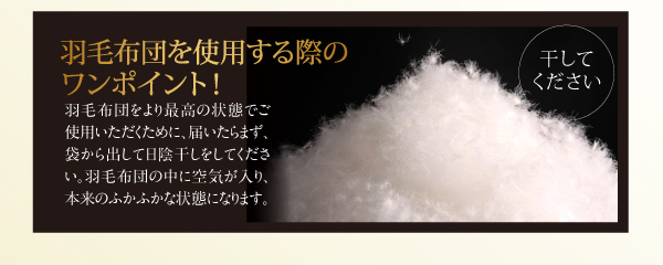 羽毛掛布団 Lathyrus ラティルス 商品説明画像13