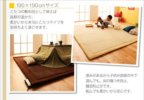 マイクロファイバーラグ fiesta フィエスタ 商品説明画像8