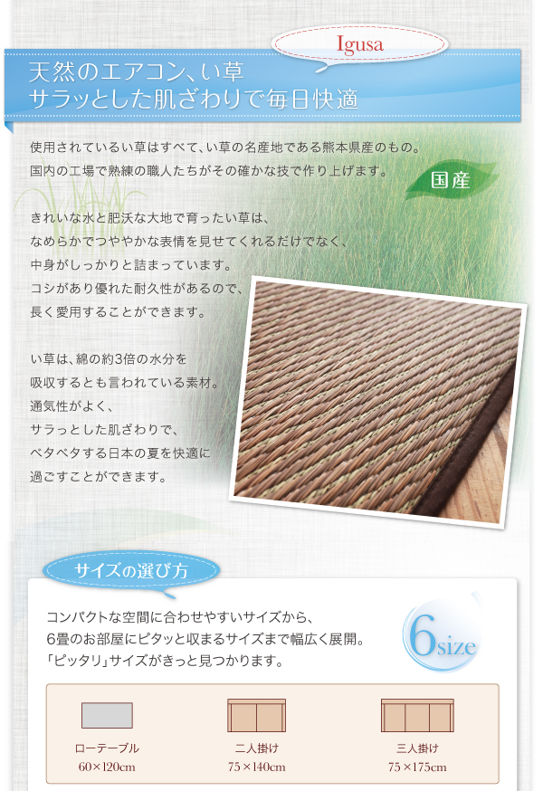 30タイプから選べる国産ふっくらい草ラグ Sidy シディ 商品説明画像7