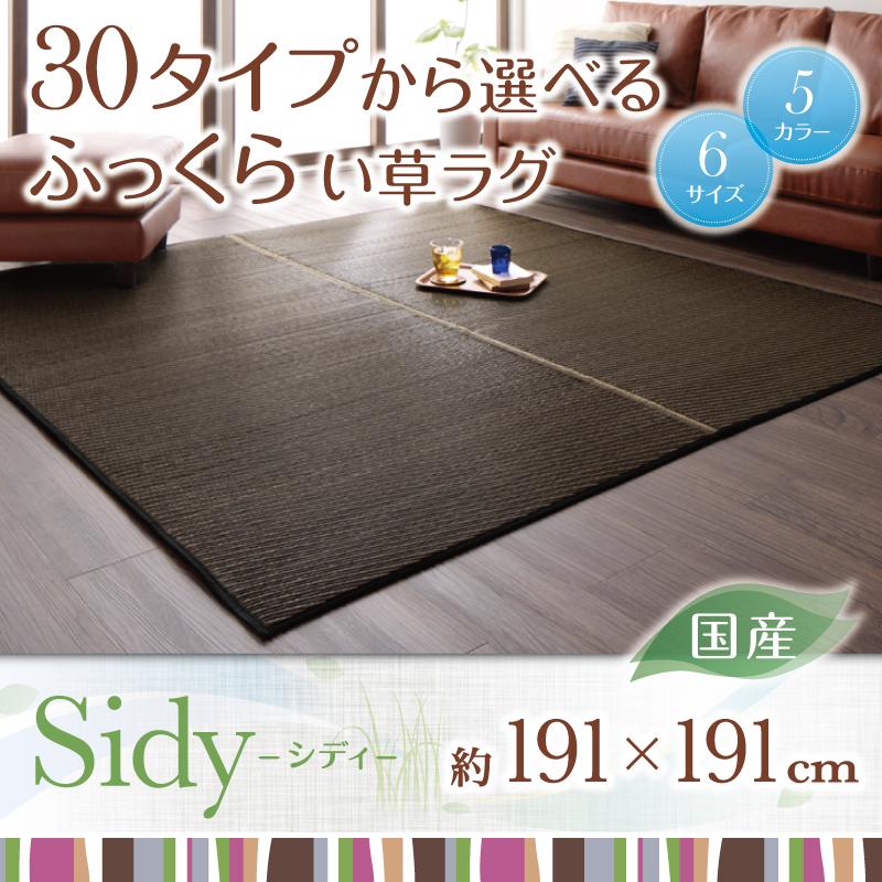 30タイプから選べる国産ふっくらい草ラグ Sidy シディ 商品追加画像23