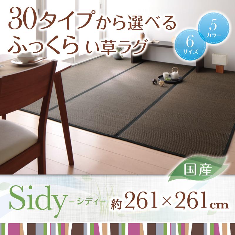 30タイプから選べる国産ふっくらい草ラグ Sidy シディ 商品追加画像25