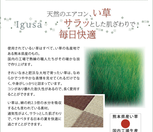 純国産ブロック柄い草ラグ casule カジュール 商品説明画像11