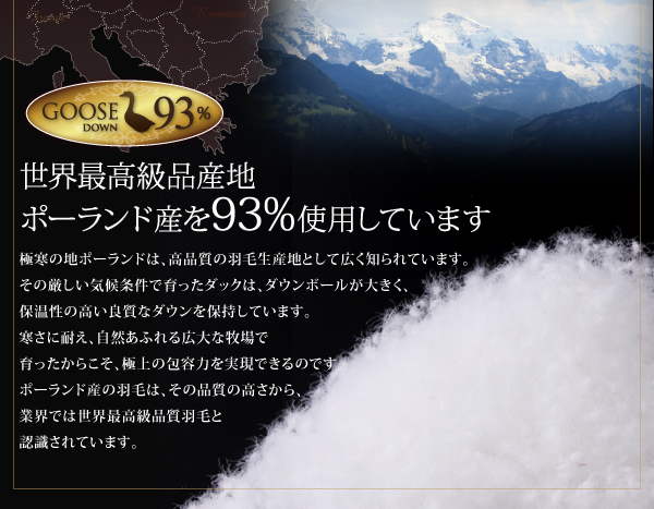 羽毛布団8点セット Lathyrus ラティルス 商品説明画像5