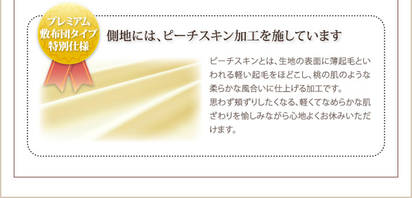 9色から選べる シンサレート入り布団 8点セット プレミアム敷布団タイプ 商品説明画像21