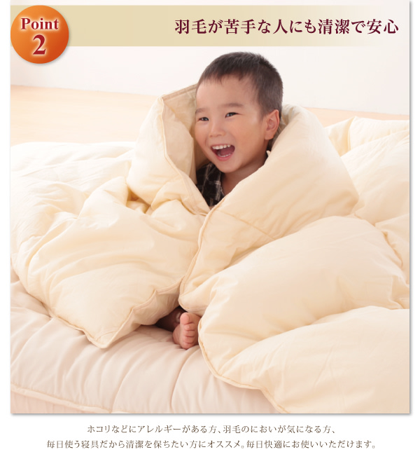 9色から選べる 洗える抗菌防臭 シンサレート高機能中綿素材入り掛け布団 商品説明画像5
