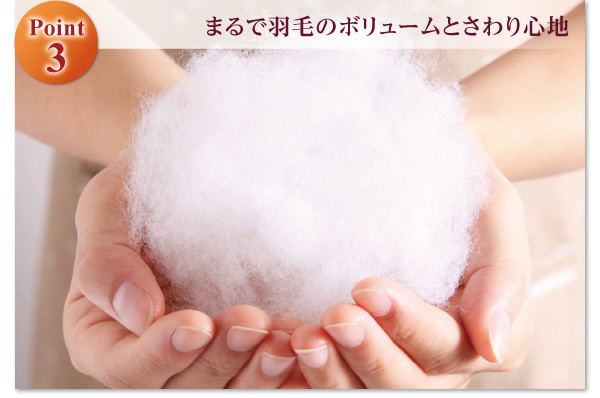 9色から選べる 洗える抗菌防臭 シンサレート高機能中綿素材入り掛け布団 商品説明画像8