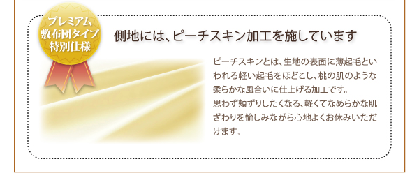 9色から選べる 洗える抗菌防臭 シンサレート高機能中綿素材入り布団 8点セット プレミアム敷き布団タイプ 商品説明画像7