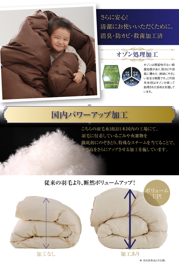 羽毛掛布団 Celicia セリシア 商品説明画像6