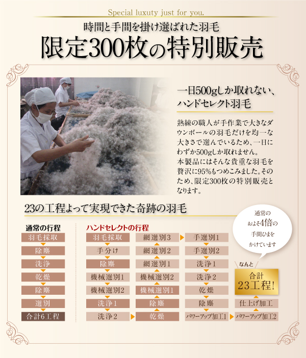 羽毛掛布団 Noiva ノイヴァ 商品説明画像5