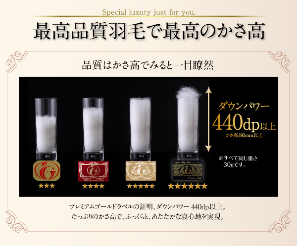 羽毛掛布団 Noiva ノイヴァ 商品説明画像7