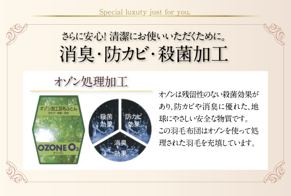 羽毛掛布団 Noiva ノイヴァ 商品説明画像11