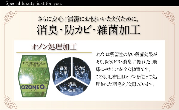 羽毛布団8点セット プレミアム敷布団 Noiva ノイヴァ 商品説明画像12