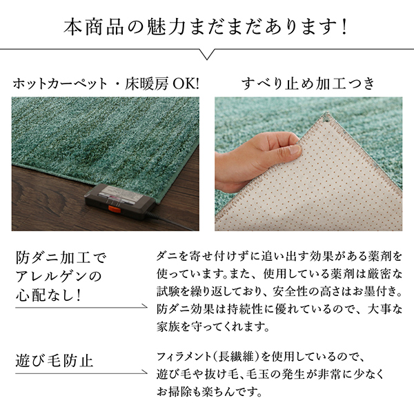 グラデーションミックスシャギーラグ rayures レイユール 商品説明画像14