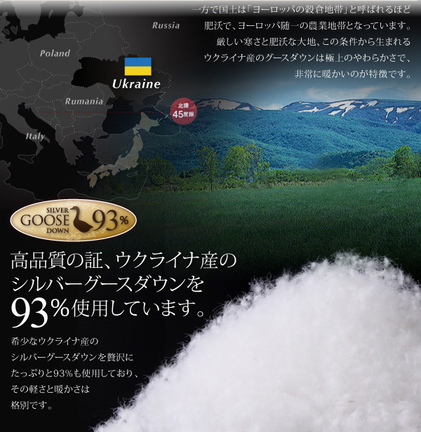 羽毛布団8点セット Bloom ブルーム 商品説明画像5