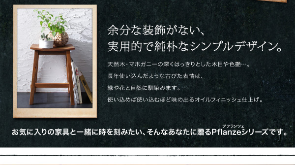 ルームガーデンファニチャーシリーズ Pflanze プフランツェ 商品説明画像5