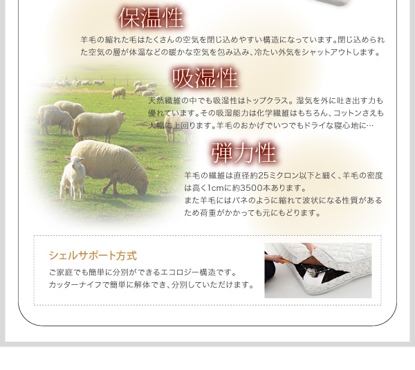 棚・コンセント付き収納ベッド Reffin レフィン 商品説明画像37
