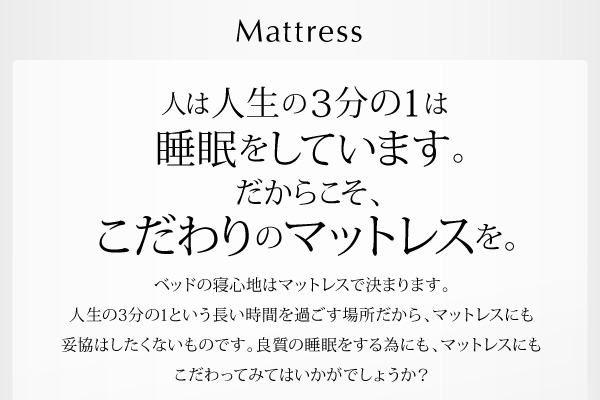 棚・コンセント付き大容量収納チェストベッド Estimu エスティーム 商品説明画像14