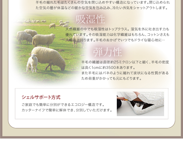 棚・コンセント付きデザインベッド Langford ランフォード 商品説明画像26