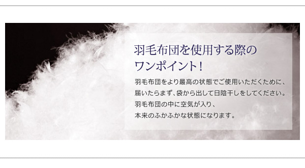 DOWNPASS認証 羽毛掛布団 商品説明画像17