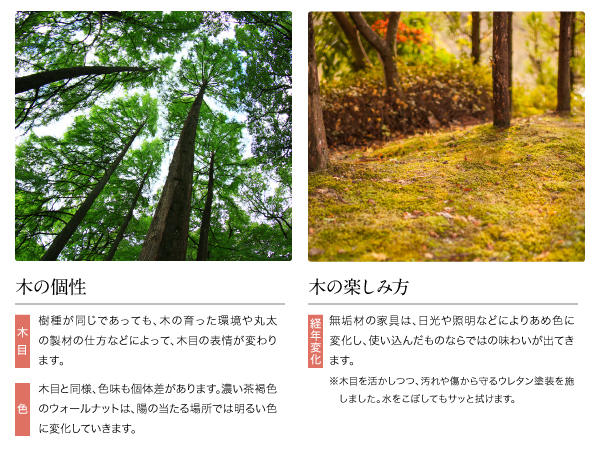 ハイバックチェアダイニング Virgo バルゴ 商品説明画像7