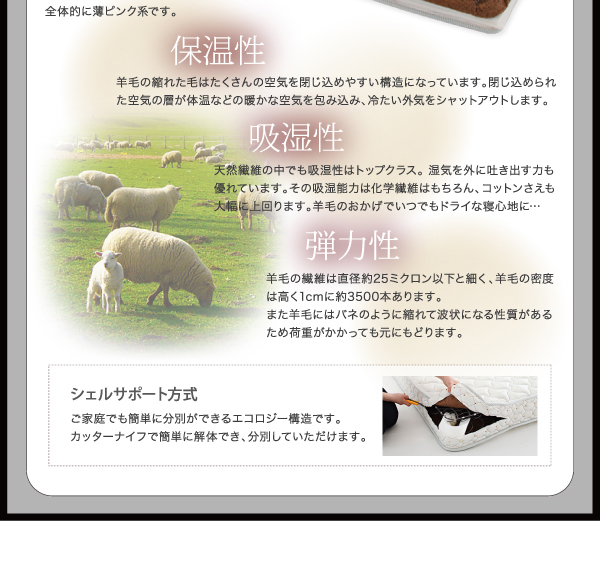すのこステーションボトムベッド Tough-BOTTOM タフボトム 商品説明画像27