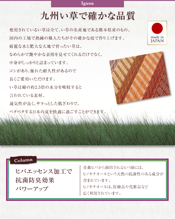 純国産ラインデザインい草ラグ ludima ルディマ 商品説明画像8