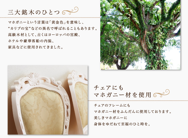 エクステンションクラシックダイニング Francoise フランソワーズ 商品説明画像10