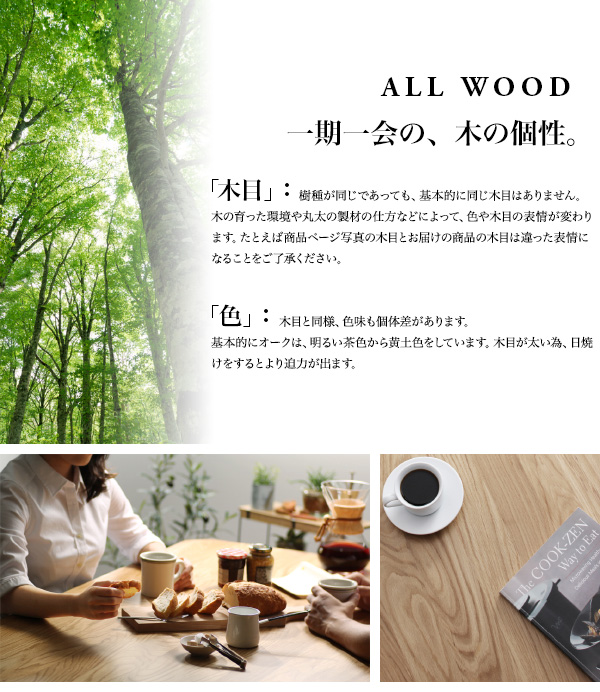 北欧ダイニングセット The-North ザ・ノース 商品説明画像6
