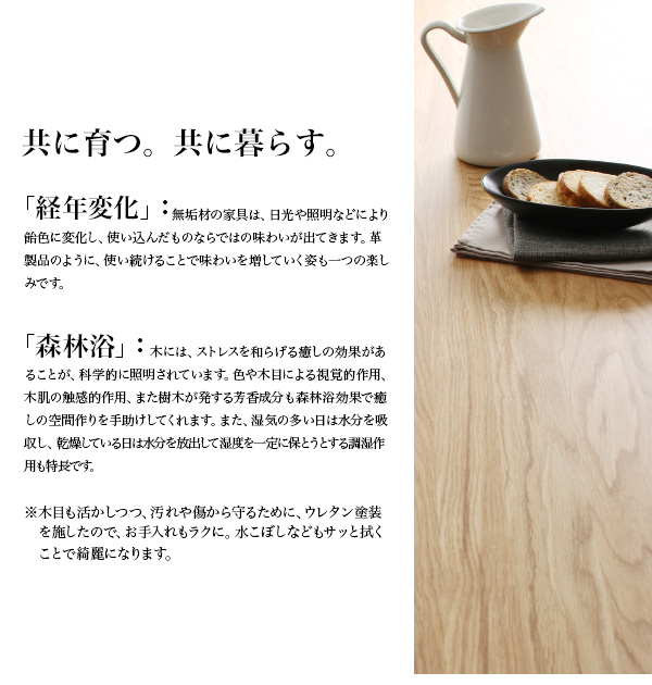 北欧ダイニングセット The-North ザ・ノース 商品説明画像7