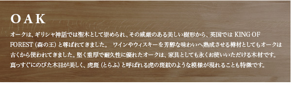 北欧ダイニングセット The-North ザ・ノース 商品説明画像8