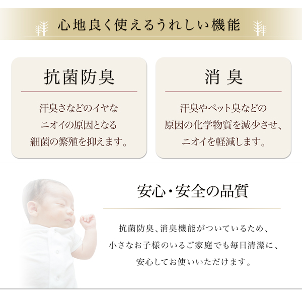 トルコ製ウィルトン織ギャッベデザインラグ Eve イヴ 商品説明画像9