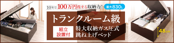 収納跳ね上げベッド T-space ティースペース