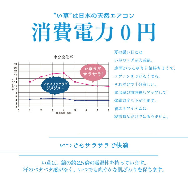掛川織国産デザインい草ラグ 礎 いしずえ 商品説明画像10