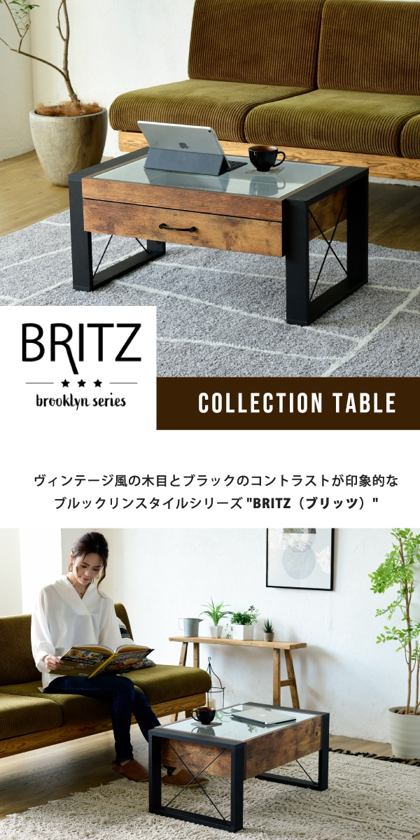 ubNX^C BRITZ ubc RNVe[u FBR-0005 摜1