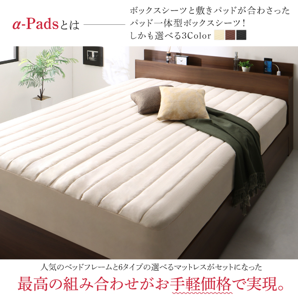 棚・コンセント付き収納ベッド DANDEAR ダンディア 商品説明画像4