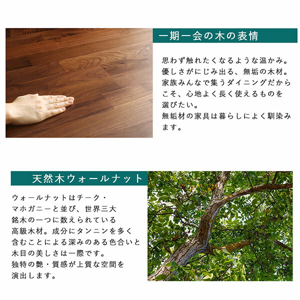ウォールナット無垢材モダンデザインダイニング JASPER ジャスパー 商品追加画像5