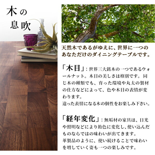 天然木ウォールナット無垢材デザイナーズダイニング The-WN ザ・ダブルエヌ 商品追加画像11