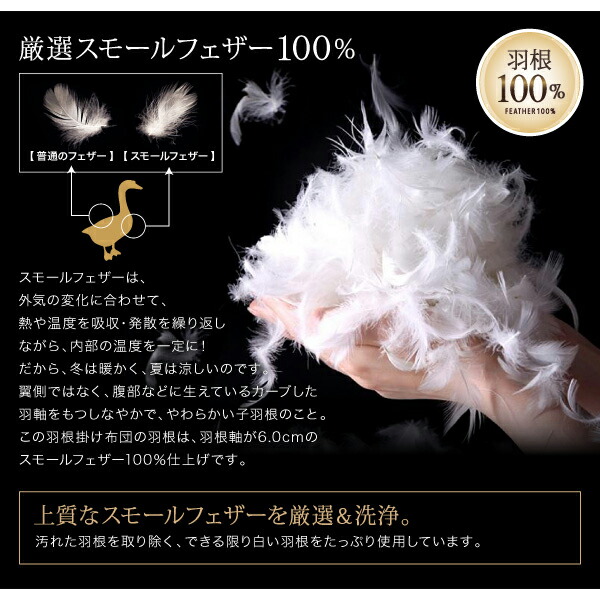 カラフル羽根掛布団2枚セット 商品追加画像9
