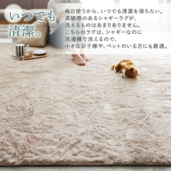 洗濯機で洗えるシャギーラグ shaggila シャギラ 商品追加画像6