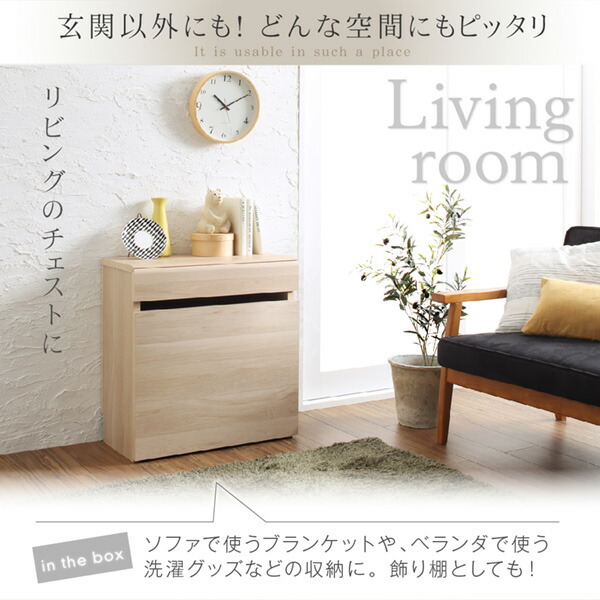 引出しベンチ収納 Rabiah ラビア 商品追加画像5