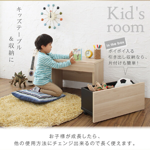 引出しベンチ収納 Rabiah ラビア 商品追加画像6