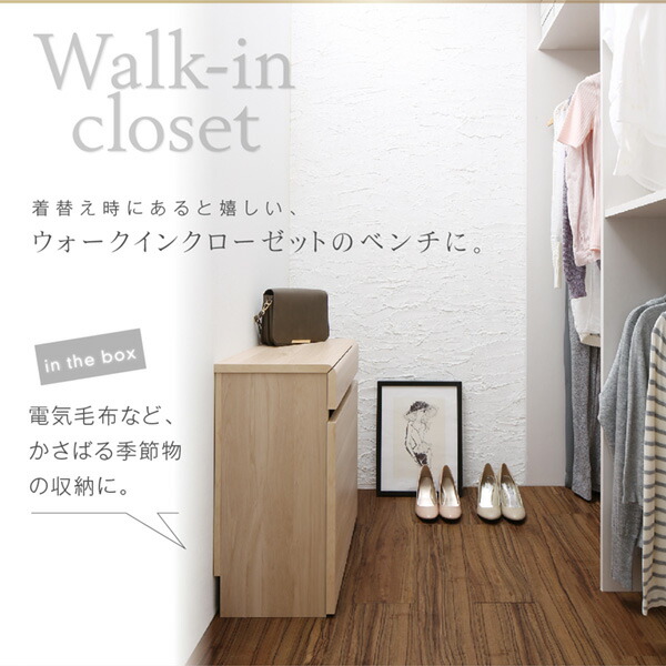 引出しベンチ収納 Rabiah ラビア 商品追加画像7