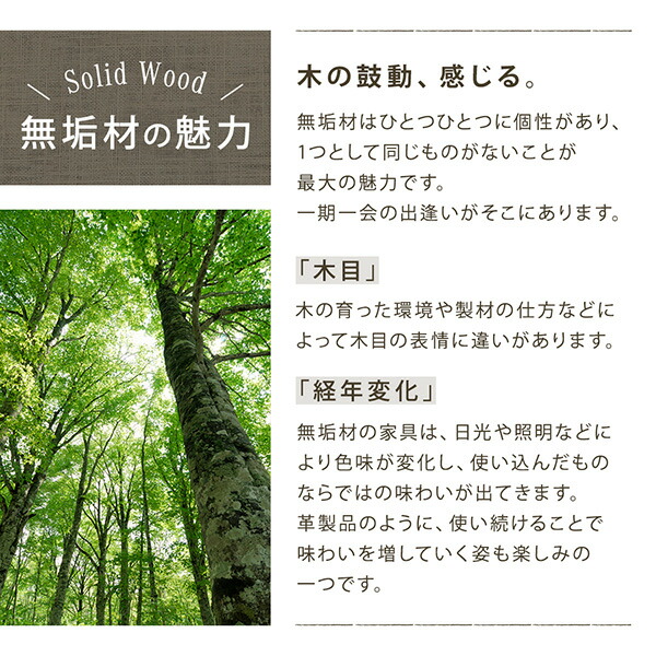 天然木総無垢材ダイニング Madiarno マディアルノ 商品追加画像7