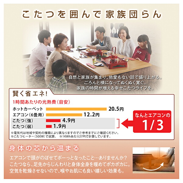 ふっくら綿入り うさぎ和柄こたつ布団 つきひ 商品説明画像9