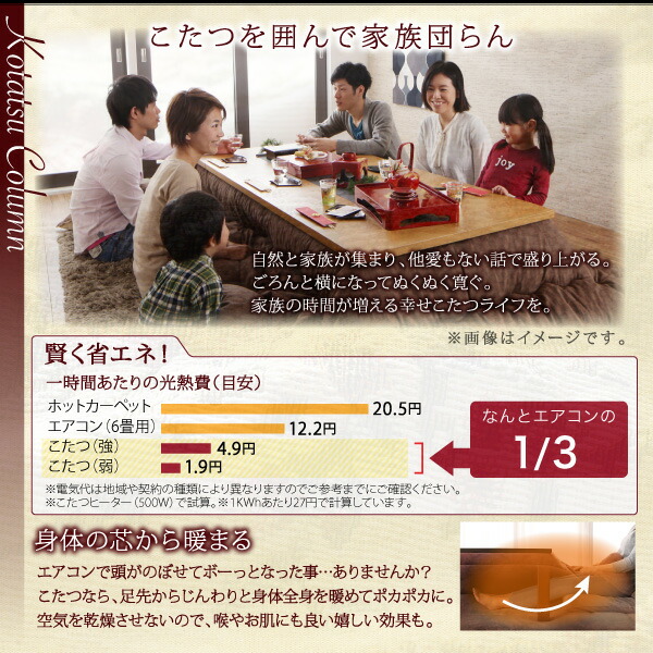 ゴブラン織 花柄国産こたつ布団 Torisha トリシャ 商品追加画像17