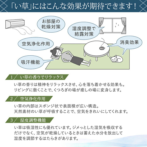 出し入れ簡単 床面吸着 軽量ユニット畳 Hanabishi ハナビシ 商品説明画像10